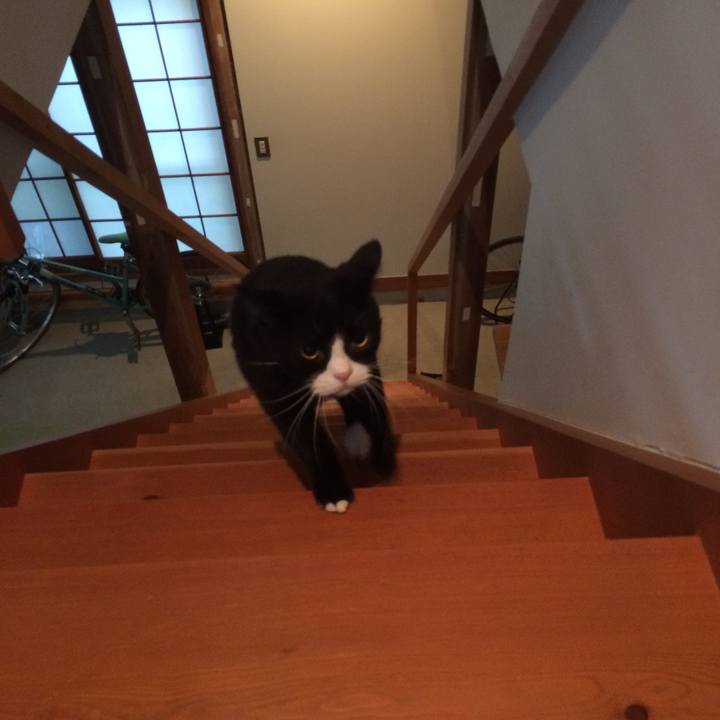 Fbfdee85 82c2 4099 b379 bab08dd49a95