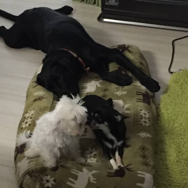 Fbfe490a fcd4 4e67 9692 8d2fe7f3a32c