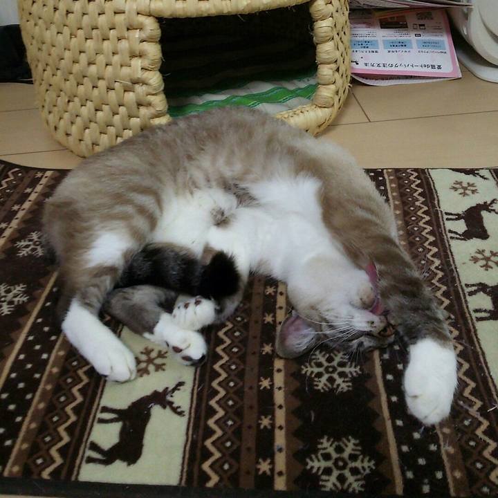 Fbfe8b9f 6fb1 4e8d a3be 13a90eaa72b7