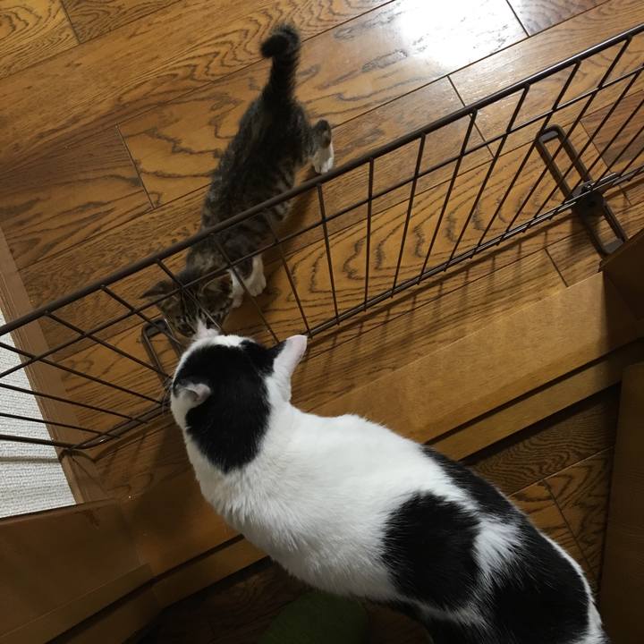 Fbff6d27 d024 460c 9806 7bccc10a77ed