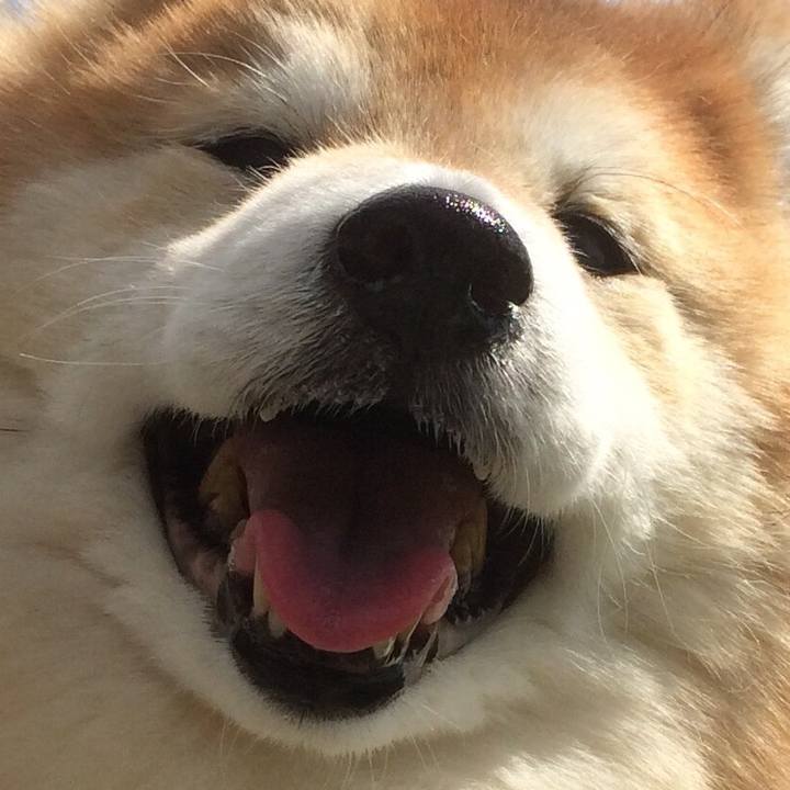 Fbffa3ba f1ee 4c4b bf0f b005677c5c95