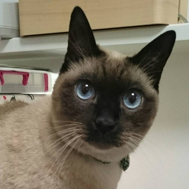 Fc009a73 cb8d 4b3b b7f2 3691a6ce8a7a