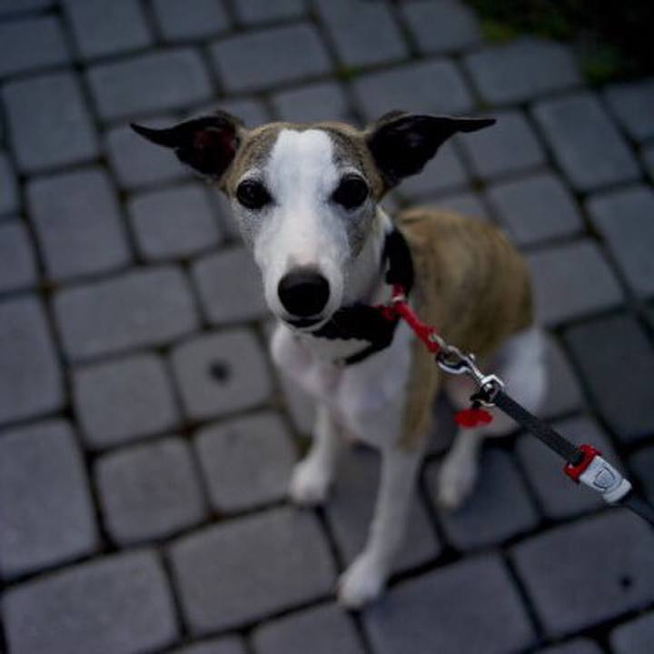 Fc00a581 1801 49b9 a4dc 93f3d427fcea