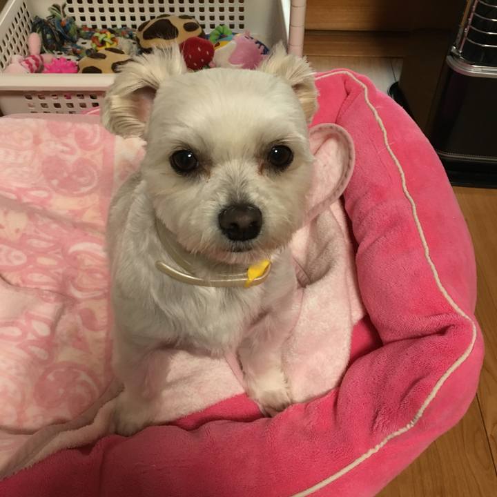 Fc01422c 37a5 4b9b 8e6c 19305c9bab61