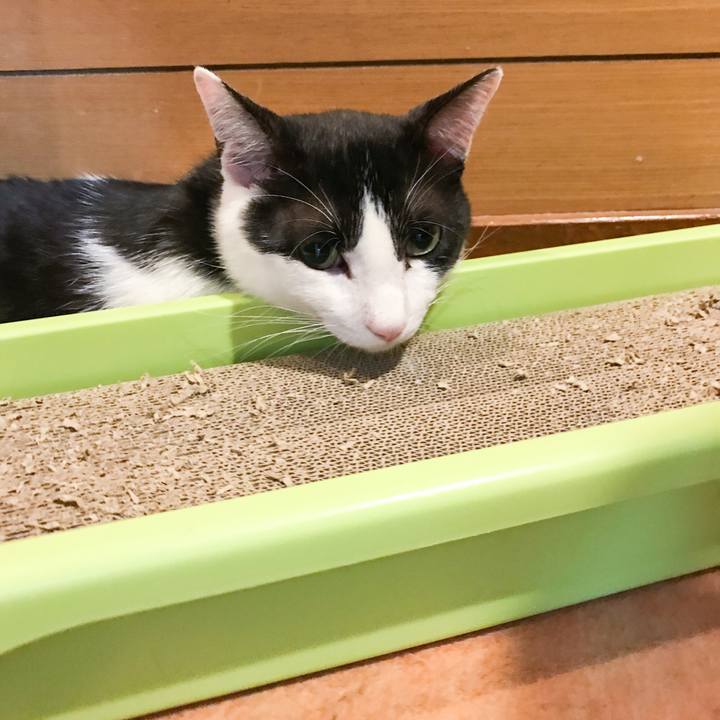 Fc014314 cbda 433c 94f5 a3e99899471b