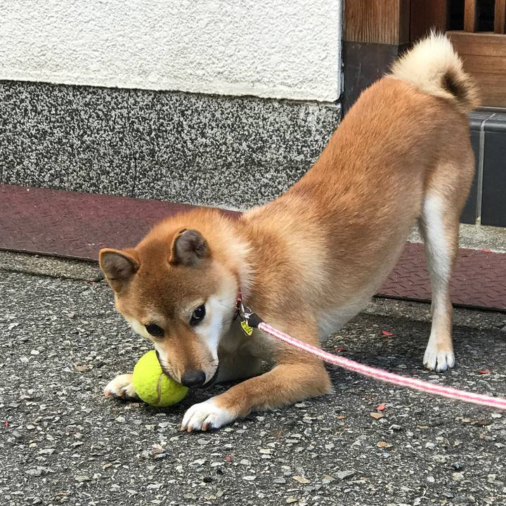 Fc0203c1 0ef1 49ad 8396 7ee60b7f5686