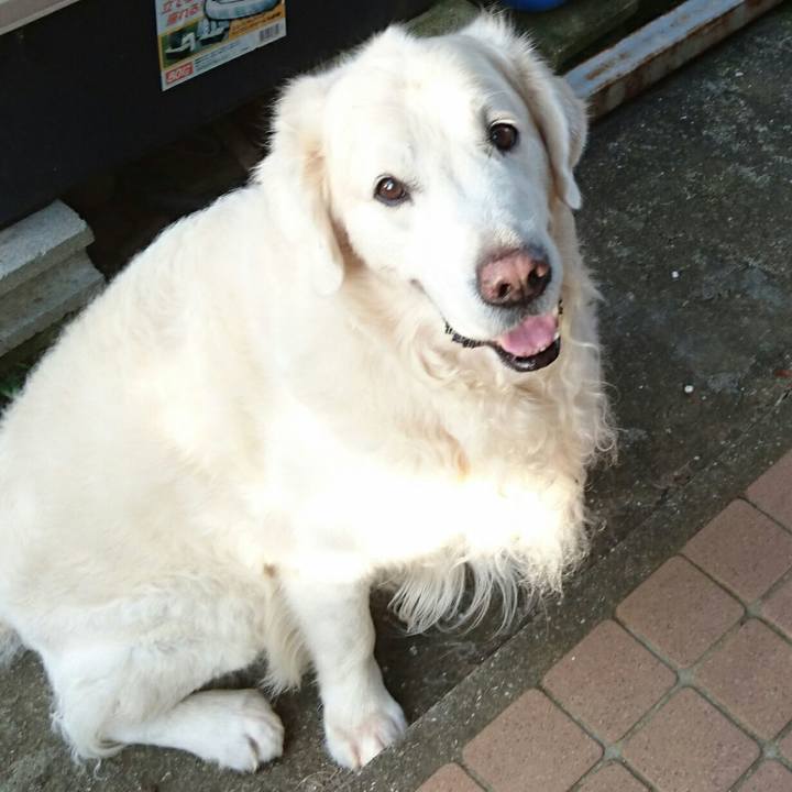 Fc0215fb a4a4 4aa6 a239 c65f723781ef