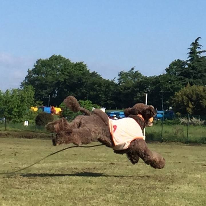 Fc027e59 5525 4eca bef0 2d9b377dae82