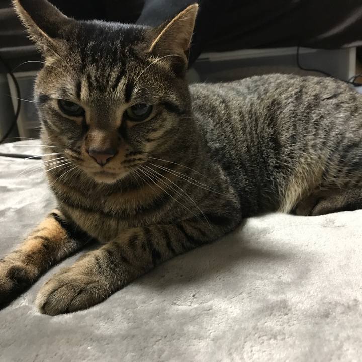 Fc02e1ab 84fb 49a6 ad59 3861fa4888e9