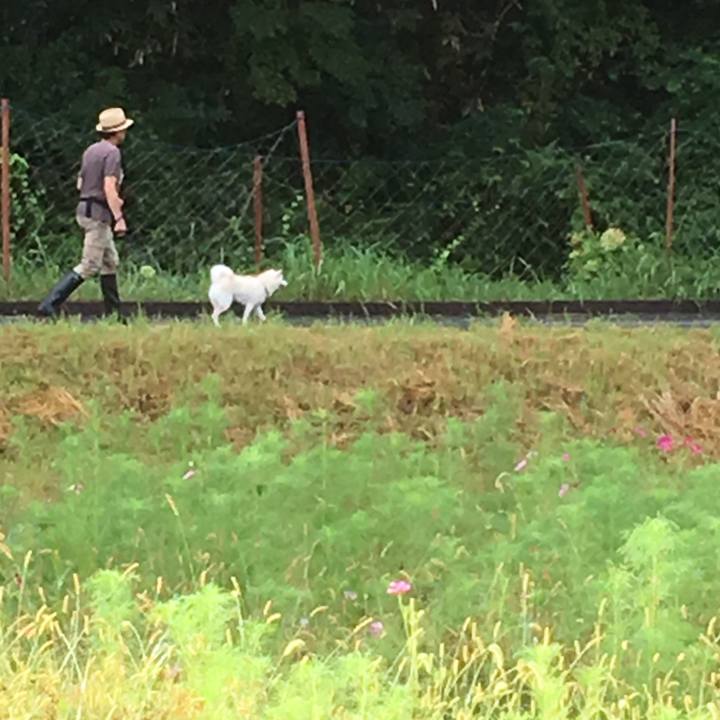 Fc03087a 22f9 4b56 8969 b3d6039381e2