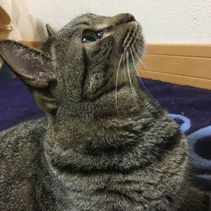 Fc031c34 a1df 46bb 96c9 958c1dd524e0