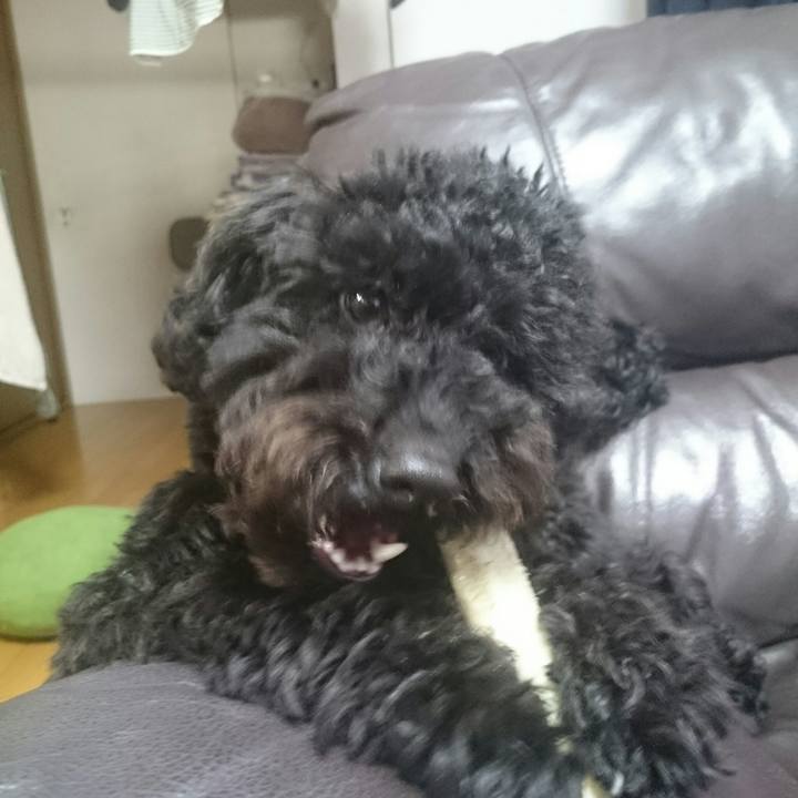 Fc034627 511e 4ce4 a50b d0edc01fa160