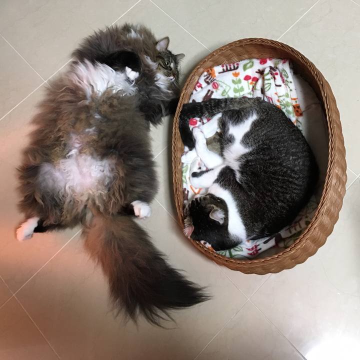 Fc0383ea 34ae 43f4 b9b0 8f9b2b2b90e8