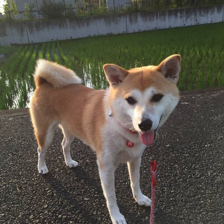 Fc03d9b9 f6f0 43b0 a715 eb703d1738a6