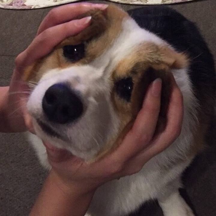 Fc0488e7 d309 4e9d b393 ffc2184c269f