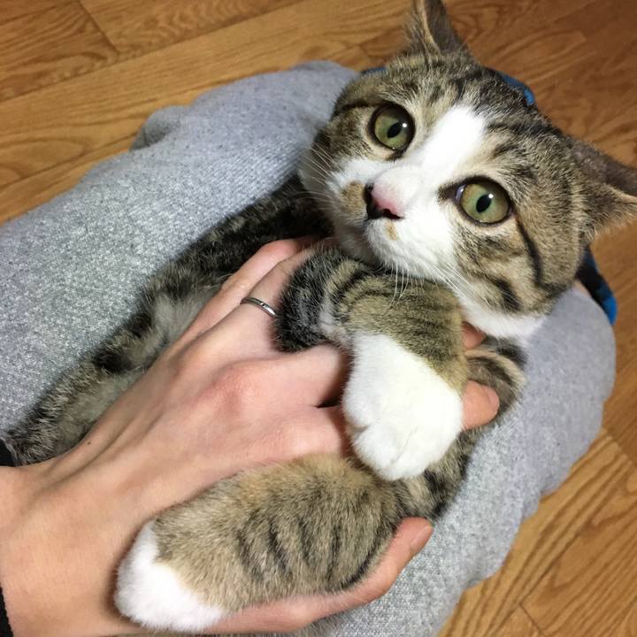 Fc04ffac c582 43f0 ad8d 26ada90c9f95