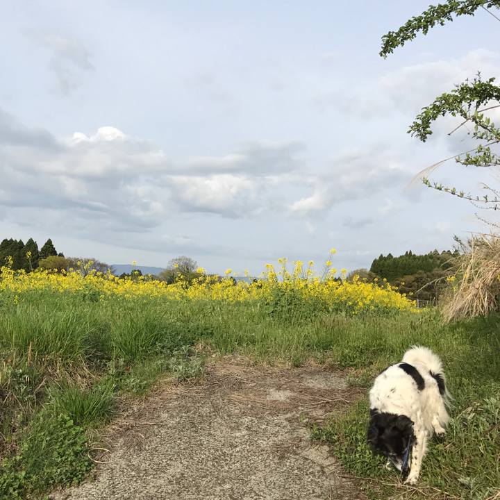 Fc06178d 40c5 40e1 bf99 983013b701ac