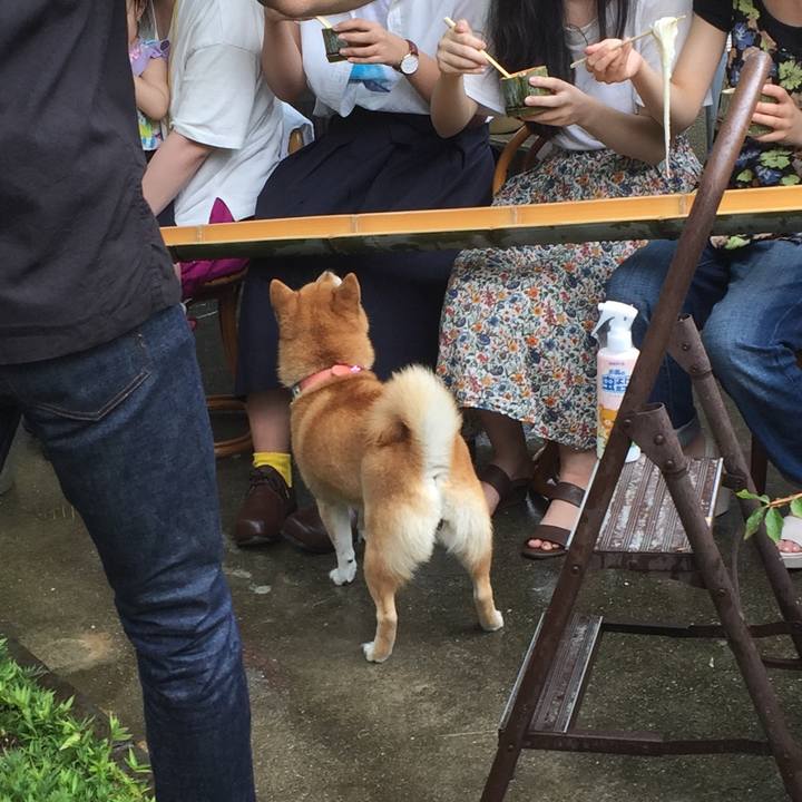 Fc07c5c7 14f1 4c4a afb1 8ed80252a761