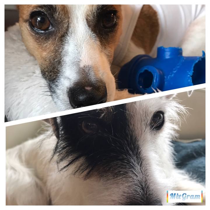 Fc084ffc 7c53 492e 8ebf 1eddf752ed91