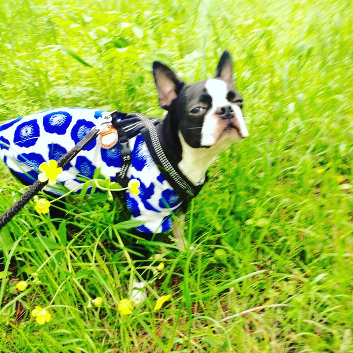 Fc0859b0 e1e4 44c7 a6fe bc9777ea89c7