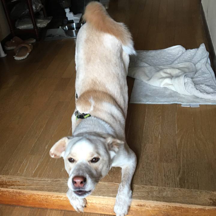 Fc08e8f6 0896 4a59 b15e a704641e7e53