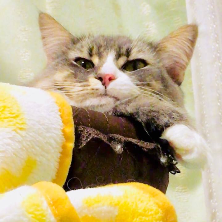 Fc08f84b 49e8 489c bae4 b2bc507f4da2