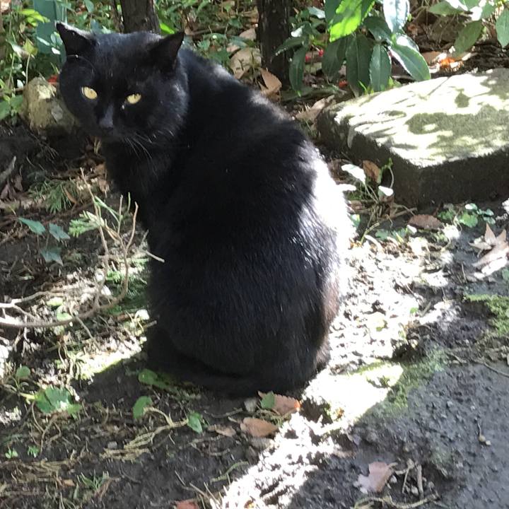 Fc096124 d14b 44ff b7b9 a87f600847a1