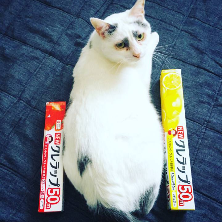 Fc0a0f37 d5cf 4017 9ee5 e3e734901d4d