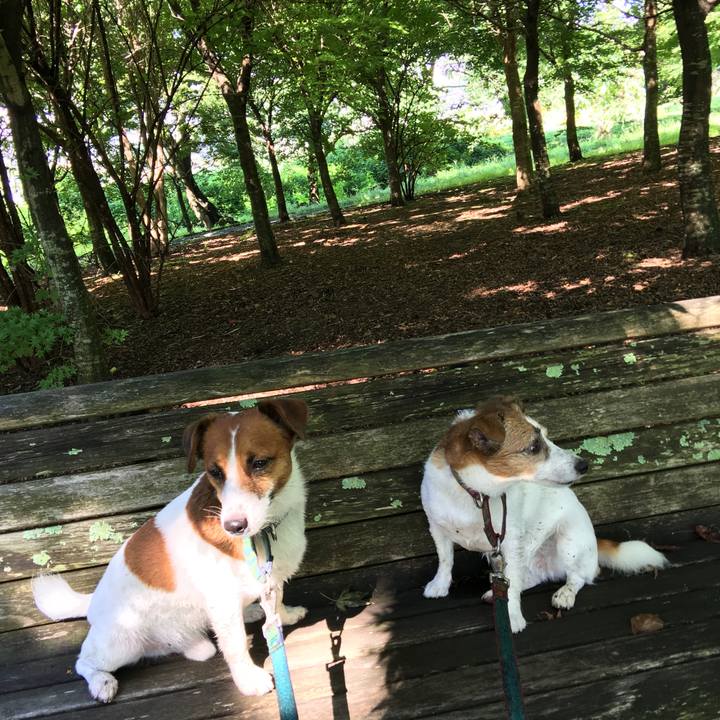 Fc0a2bdc eccc 4198 957c dc6e8f455fbe