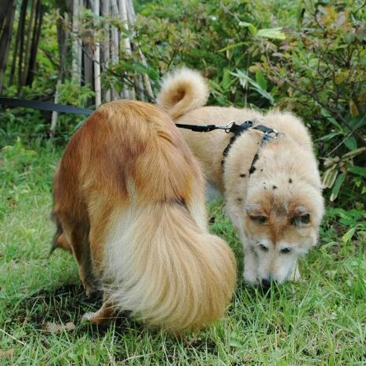 Fc0ae071 8471 4d91 9561 b41b132173b8