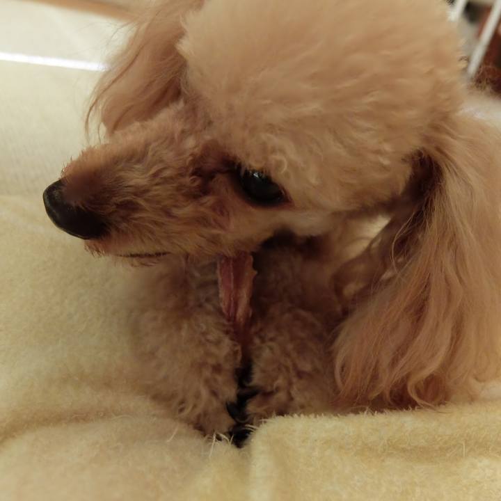 Fc0d3fcc a4cd 4713 80ba 8bef66766dbd