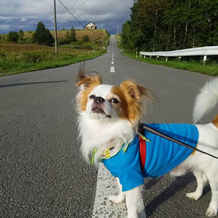 Fc0db0f9 16cd 40f4 aae1 0d2a68c0ba39