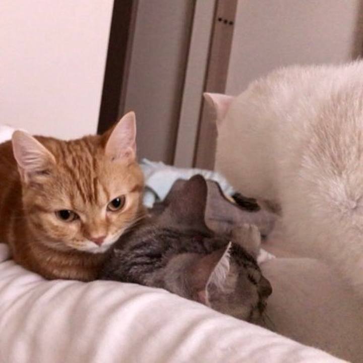 Fc0dc536 ba4e 4e9e 901a dcd38851694c