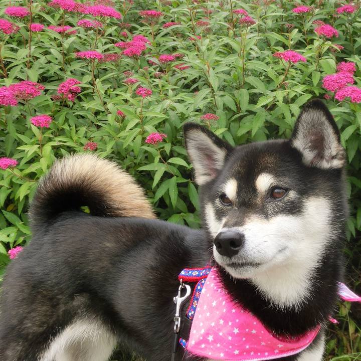 Fc0efbb4 826c 443d ac09 ac7a49250a40