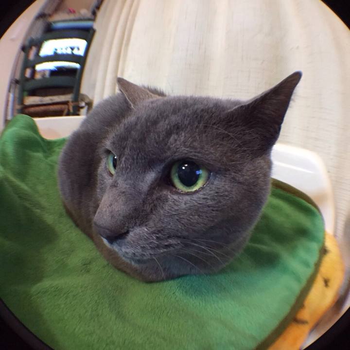 Fc0f233e 5ba8 4362 b9cd 8573a16f2c6c