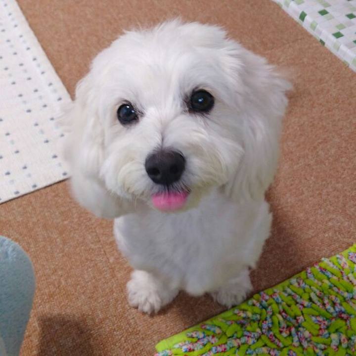 Fc0f5c27 19c5 4df4 bdcc c0393616d649