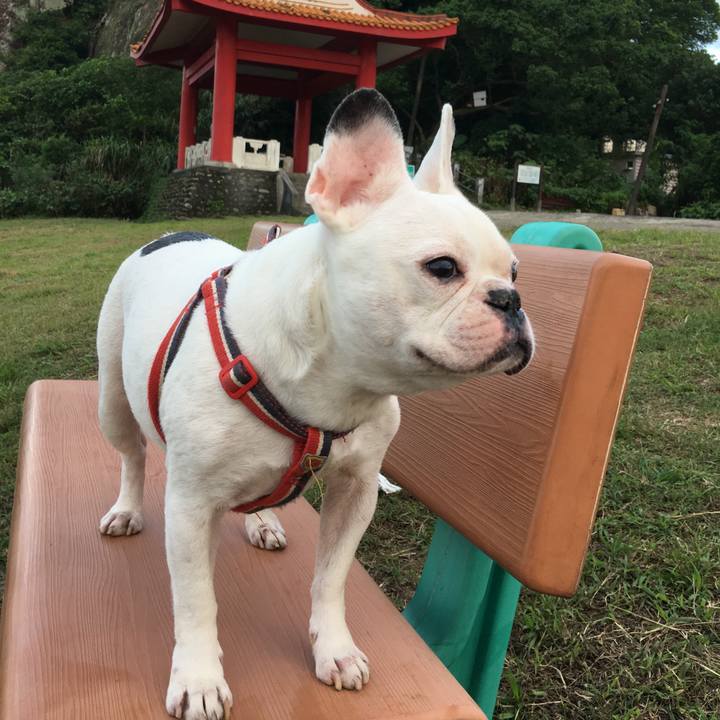 Fc0fd09a 3b41 4397 8edd 6cf5ab728ca0