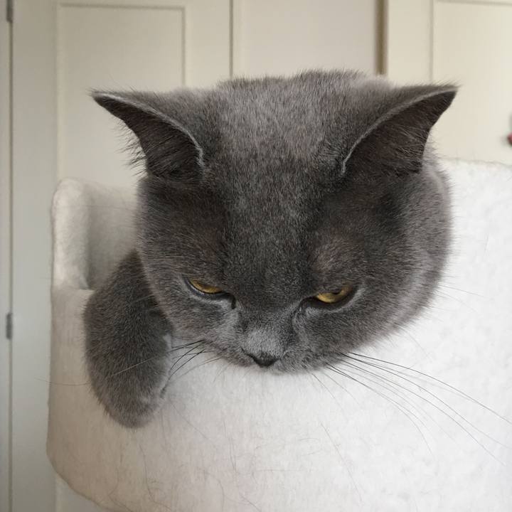 Fc1053b3 251b 409a a4cd 85f1eff52df8