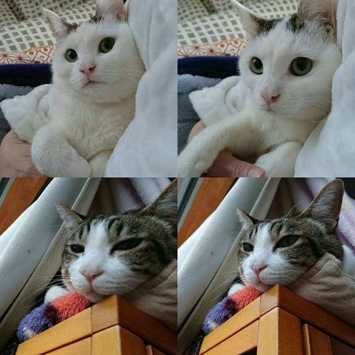 Fc1073b2 8c14 4b7e 8daf 291a624e8ef3