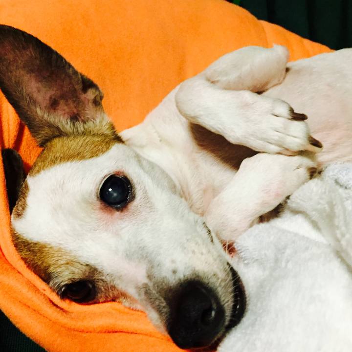 Fc10ba9f 2828 4362 a0e0 819a2f60a72c