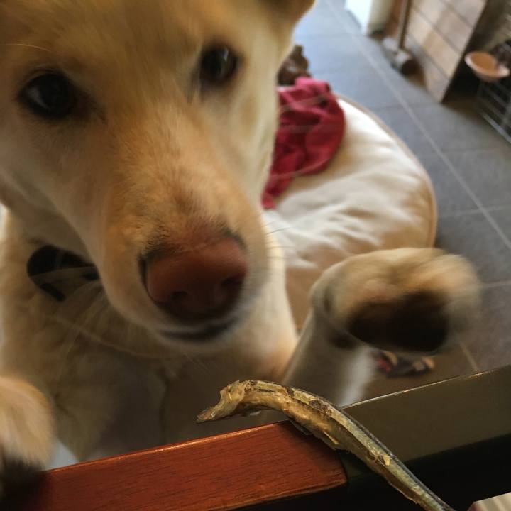 Fc123894 ba51 4475 a257 f224378cfb76