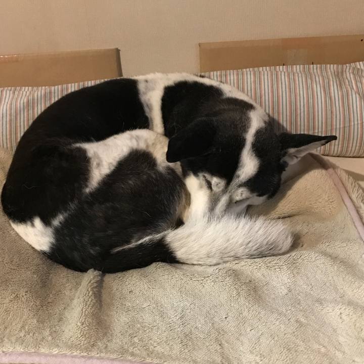 Fc124be1 f179 4be5 940a 8f7b37bb04f5