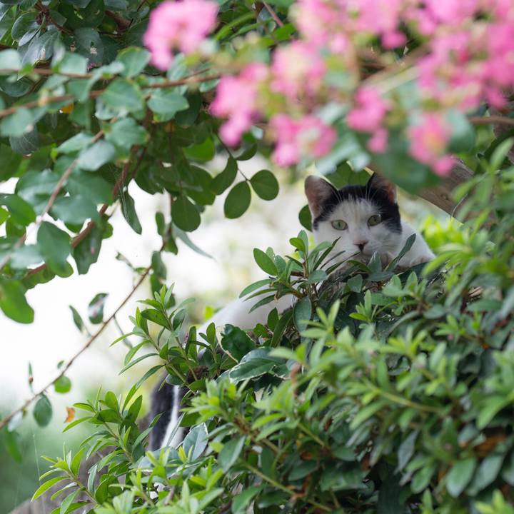 Fc12b045 ca7c 470e 9f5b fa43455264b6