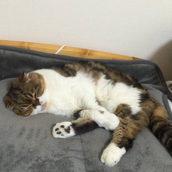 Fc12b868 9a40 4156 b6fc 5722f8ddff49