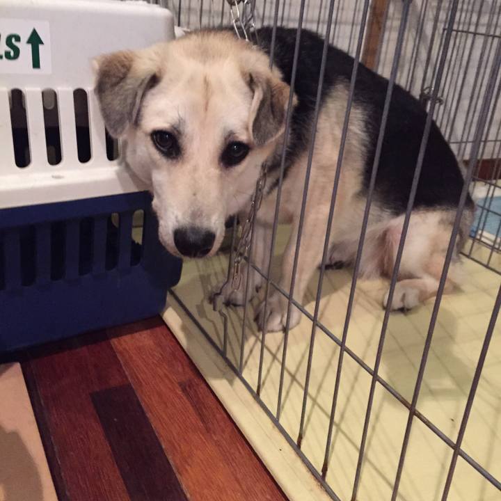 Fc12df30 4cf4 42d1 b248 ce1b7e0b5496