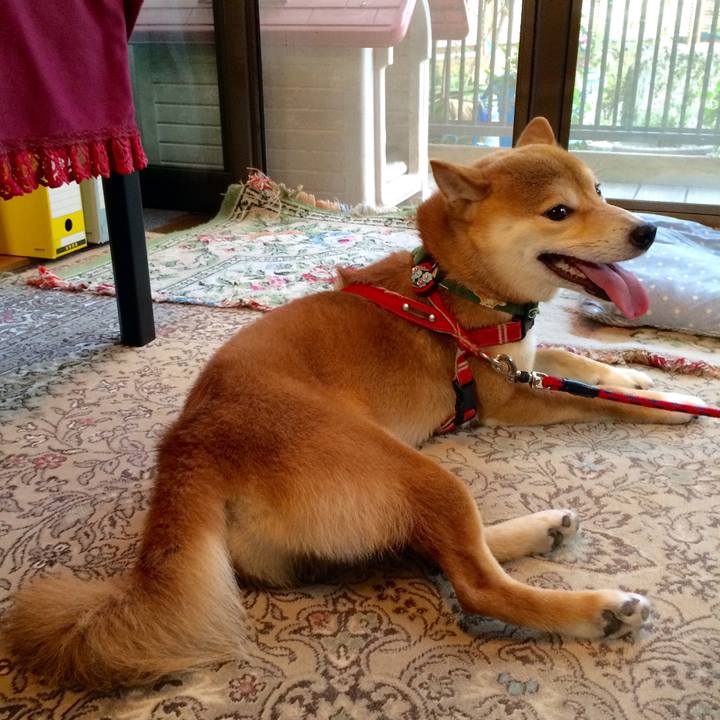 Fc12f248 77ad 4604 adcf 184f5def76dc