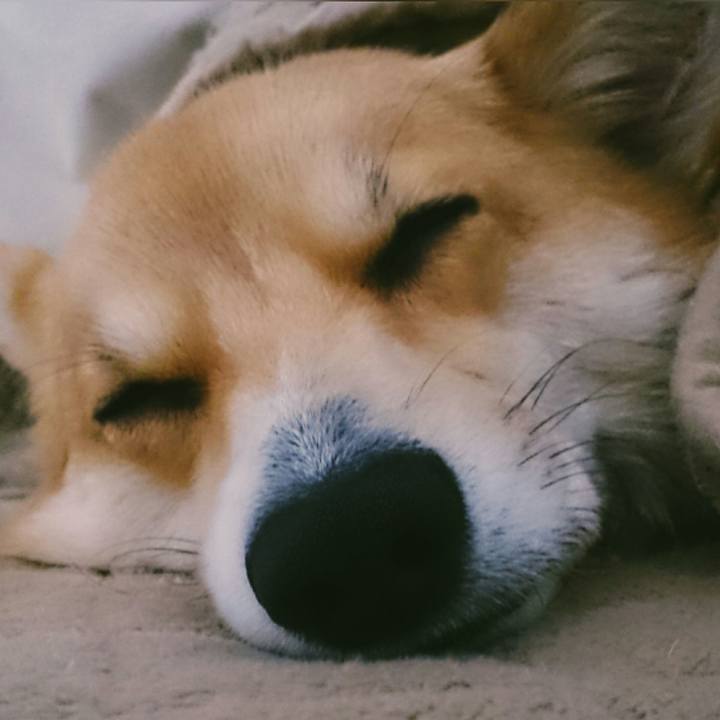 Fc136fc6 783f 498d b727 e8d30416e22f