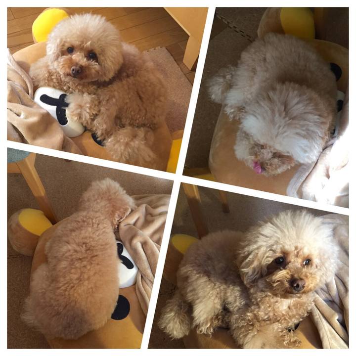 Fc13ac74 f1a4 475f bb62 01cf704c765b