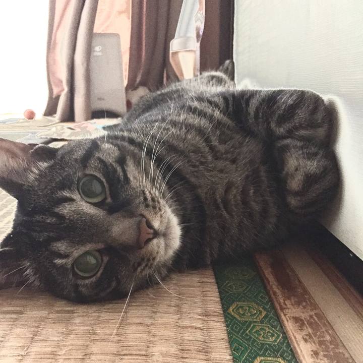 Fc13de73 4843 469b 9555 573e97903977