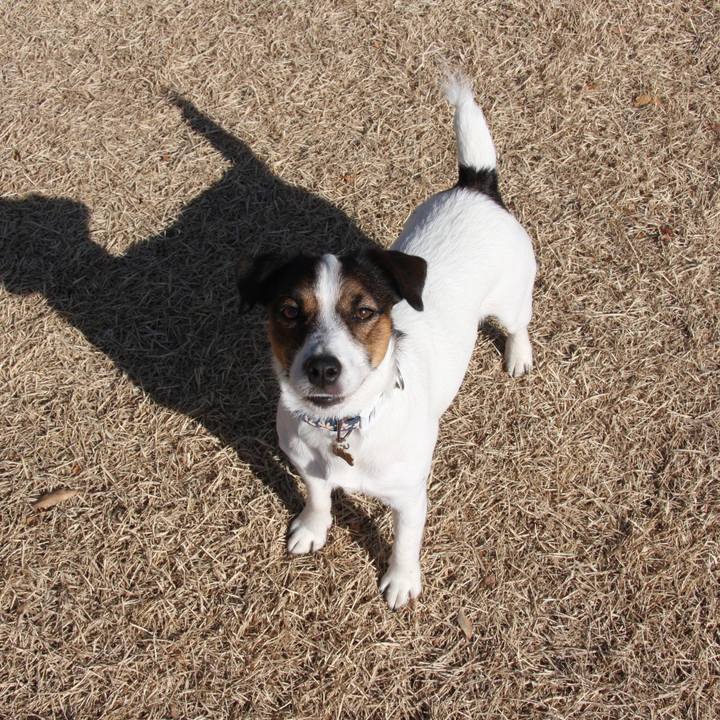 Fc13e126 ffb8 4053 9316 bda6894245e2